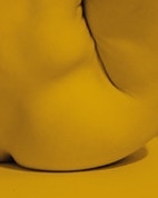 yellow butt
